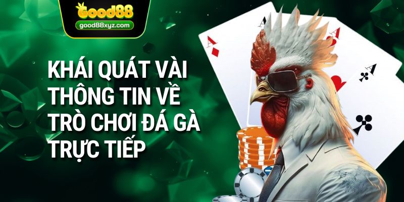 Khái quát vài thông tin về trò chơi đá gà trực tiếp